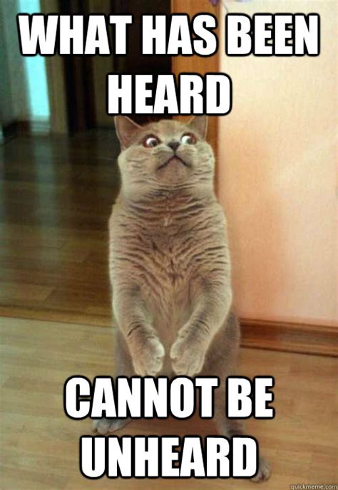 heard   unheard misc quickmeme