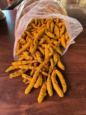 haldi plant   price  dadri uttar pradesh rodhe traders