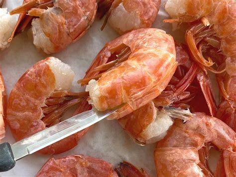 Argentine Red Shrimp Recipes | Dandk Organizer