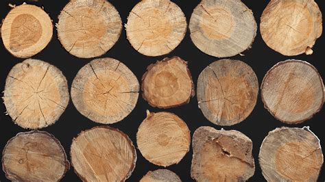 ArtStation - Texture atlas of the end wooden logs | Resources