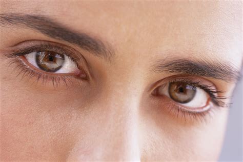facts   eye  eye