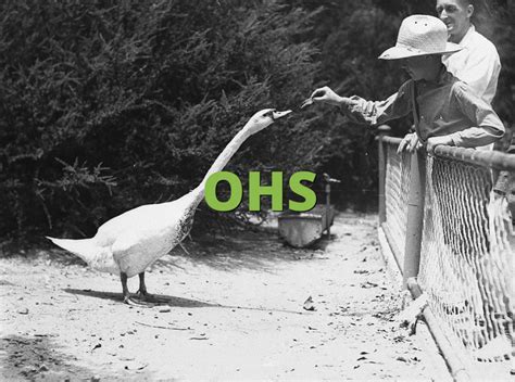 ohs meaning slangorg