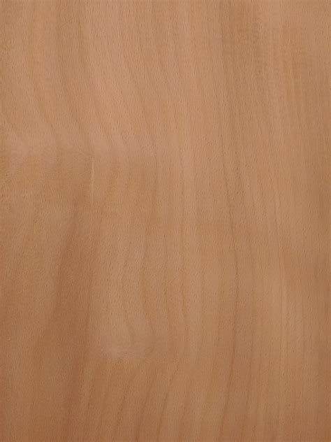 european beech wood shed