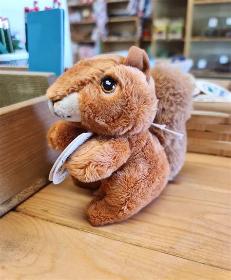 Small Squirrel Soft Toy | Buy & Shop Online at Ferne Animal Sanctuary