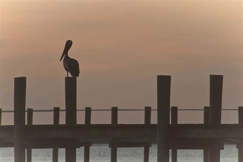16 Best Beach Towns in Florida To Visit! - Florida Vacationers