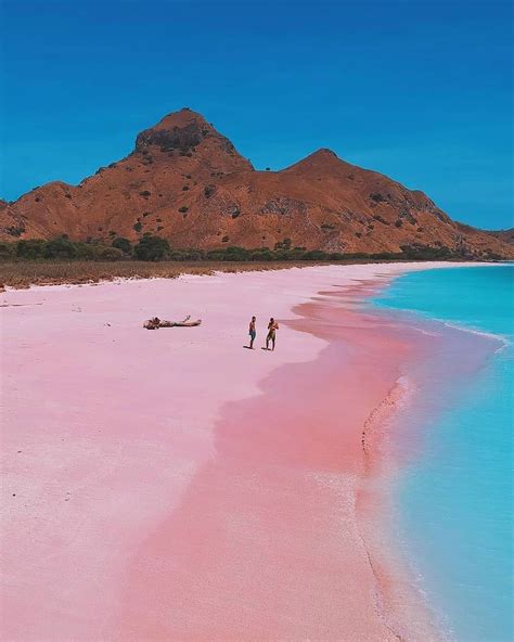 pink beach komodo island indonesia