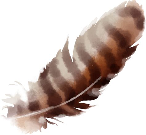 feathers drawing easy 8
