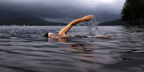 Swimmer in lake image - Free stock photo - Public Domain photo - CC0 Images