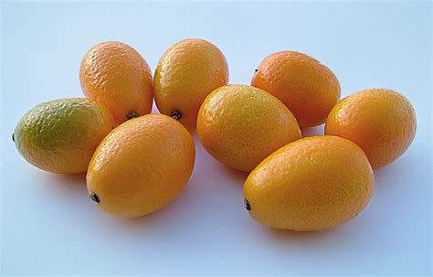 kinkanas - Visuotinė lietuvių enciklopedija