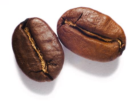 kopi biji foto gratis  pixabay pixabay