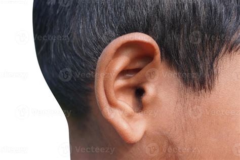 ear  mans ear  body part helps  hear sound waves  stock