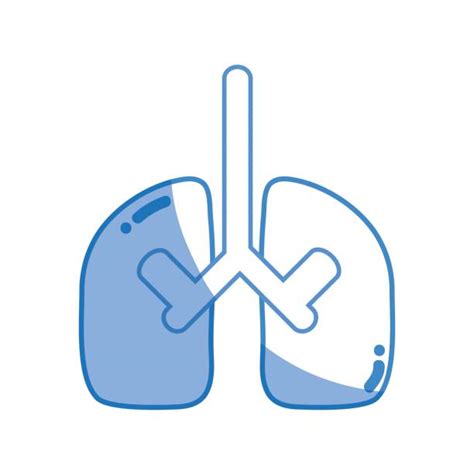 Best Pulmonary Vein Illustrations, Royalty-Free Vector Graphics & Clip ...