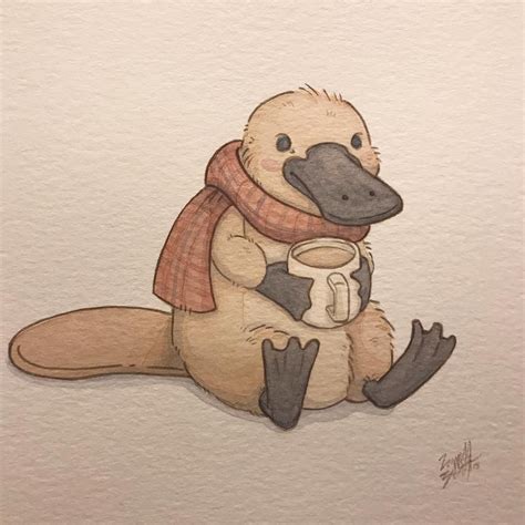 How To Draw A Platypus at How To Draw