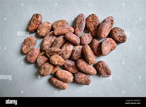 Close-up image of a pile of dry cocoa beans (seeds of the cacao tree ...