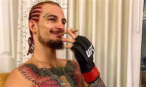 Create meme "ufc Champions, Conor McGregor" - Pictures - Meme-arsenal.com