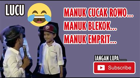 lagu lucu manuk blekok manuk emprit manuk cucak rowo youtube
