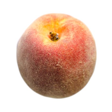 Blazing Star Peach – Champlain Orchards