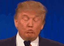 Trump Wrong GIFs | Tenor