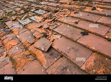 Broken Roof Tiles: Common Causes And A Better Solution, 43% OFF