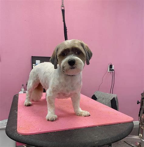 What do you ask during check in to make sure you and the client are on