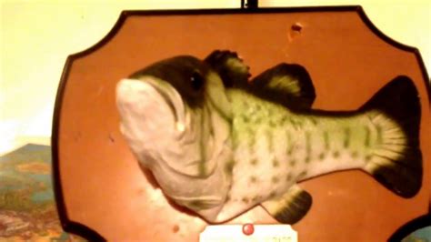 singing fish dont worry bob marley youtube