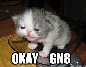 Okay cat memes | quickmeme