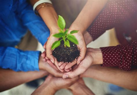 Preservando O Meio Ambiente - O que fazer para preservar o meio ambiente? Aprenda!