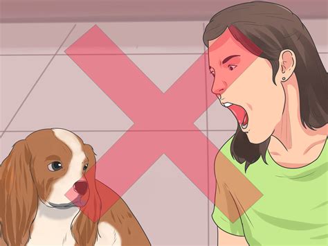 Why training a boy cavalier is surprisingly easier than most breeds 25