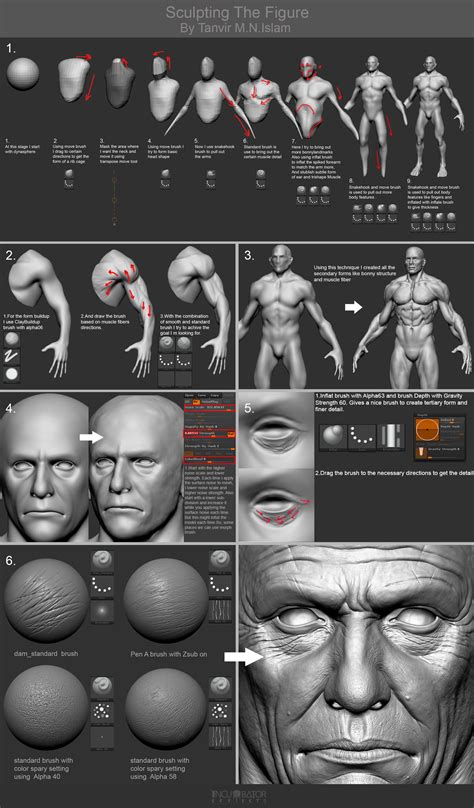 Khlotharius the Warrior | Zbrush tutorial, Zbrush models, Zbrush character