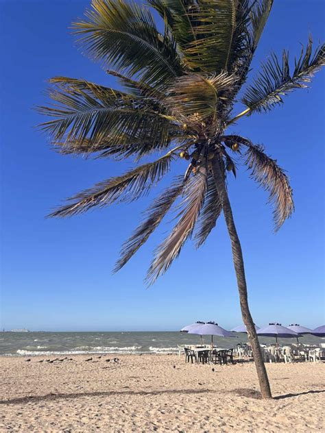 Tipping in Mexico: Who to Tip in Mexico and How Much [2025]