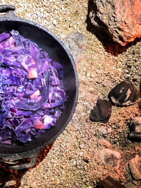 Apfel-Rotkohl, schnell selbstgemacht im Dutch Oven — THE SUNNYSIDE