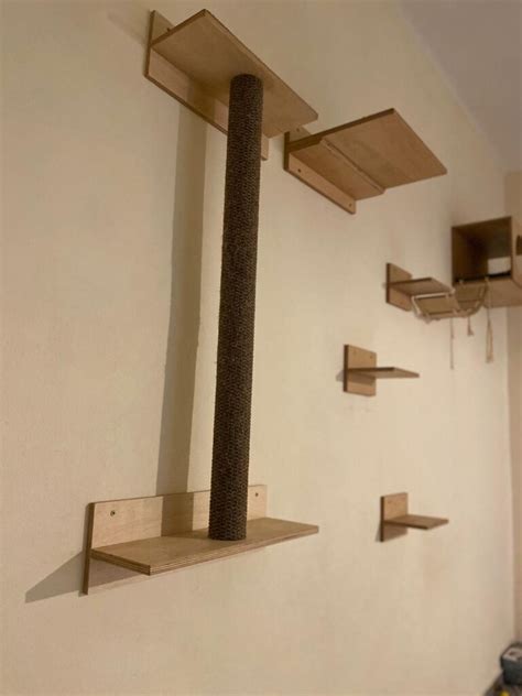 Small Cat Room Ideas: Squeeze Every Inch Available! – CatsQuest