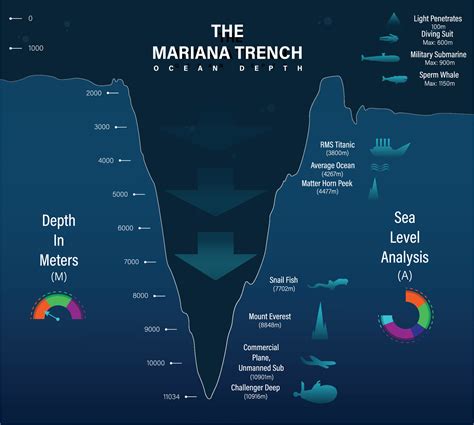 Mariana trench sea illustration, infographics or analysis, depth of