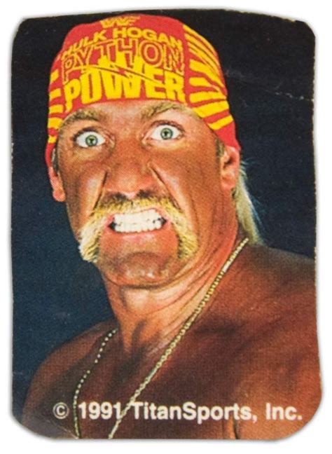 Hulk Hogan image | Hulk hogan, Hulk, Hogan