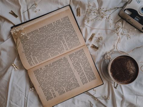 Little Women Book Reviews