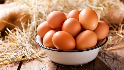 Egg Quality Secret: Foods That Make Your Chickens Lay Better Eggs
