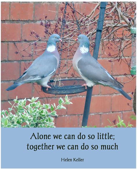 helping    gs ponderings