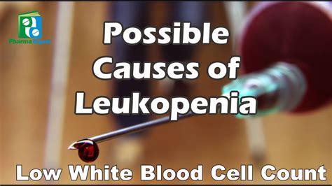 Possible Causes of Leukopenia - YouTube