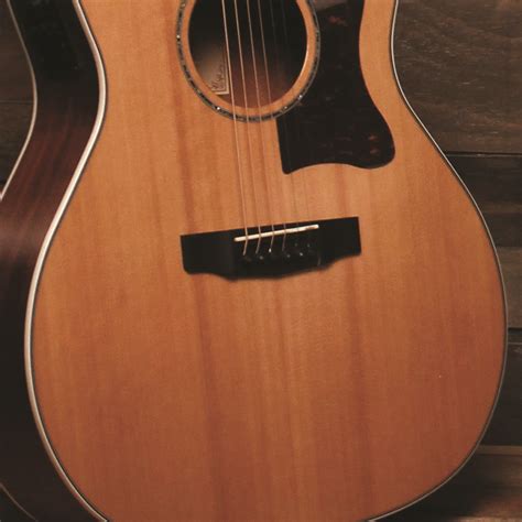 Cort Grand Regal GA5F-BW Acoustic Guitar - The Guitar Store