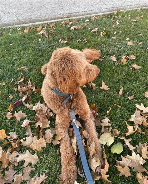 gabrielle.moses onlyfans leaked 10