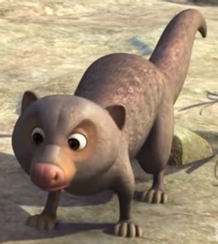 Rikki-Tikki-Tavi | Jungle Book 3D Wiki | Fandom