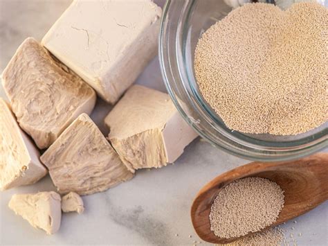 how to know if dry yeast is active