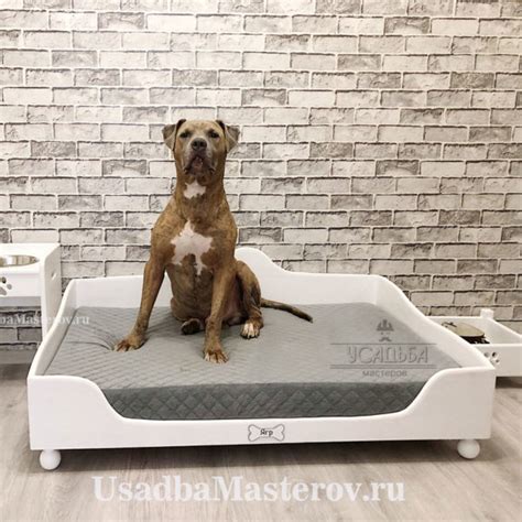 Купить закрытый кошачий туалет-домик "Комфорт" недорого