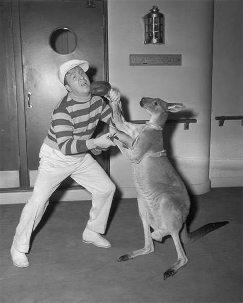 Kangaroo Boxing: 20 Bizarre And Disturbing Vintage Photos