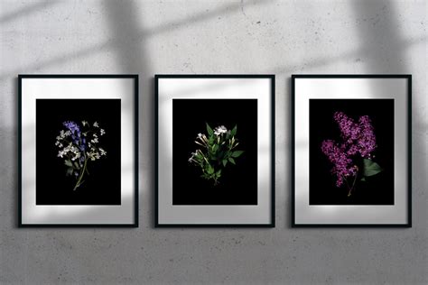 Jasmine Aurora - Photography, theatre, books - Midhurst, Brighton, London