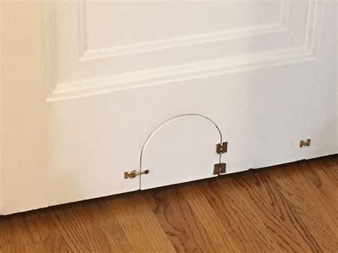Install Cat Door To Basement at Sophie Catani blog