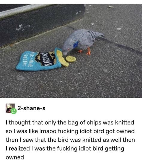 This is a picture showing what birds actually are. : r/BirdsArentReal