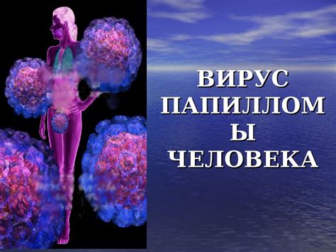 Вирус папилломы человека - презентация онлайн