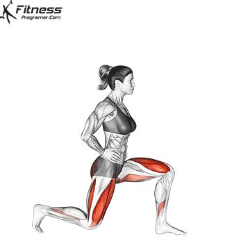 reverse lunge muscles worked     reverse lunge  powerful