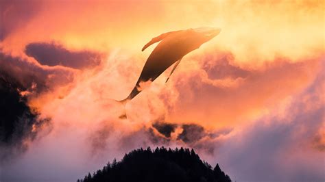 4K Ultra HD Surreal Wallpapers - Top Free 4K Ultra HD Surreal